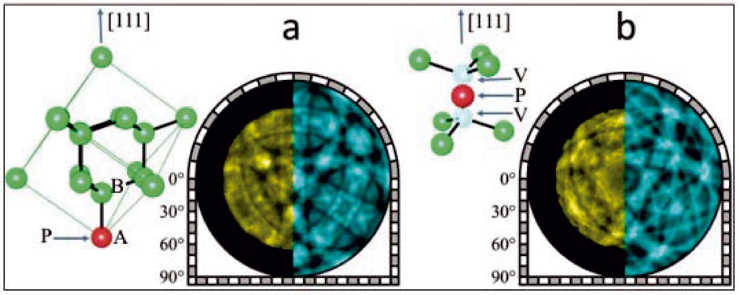 ［図2］光電子ホログラムと再生されたダイヤモンド中のリンの原子配列観測された光電子ホログラム（a、bの左半分）、小口による構造モデルをもとに予測した理論ホログラム（同右半分）、および観測されたホログラムから再生された原子配列。（a）置換構造（電気的活性構造）と（b）PVSVC構造（電気的不活性構造）。Pはリン原子、Vは炭素原子が抜けていることを示す。［111］は結晶成長の方向