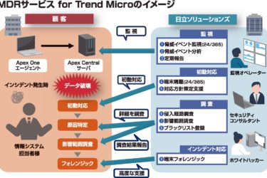 November 2019 電波新聞デジタル