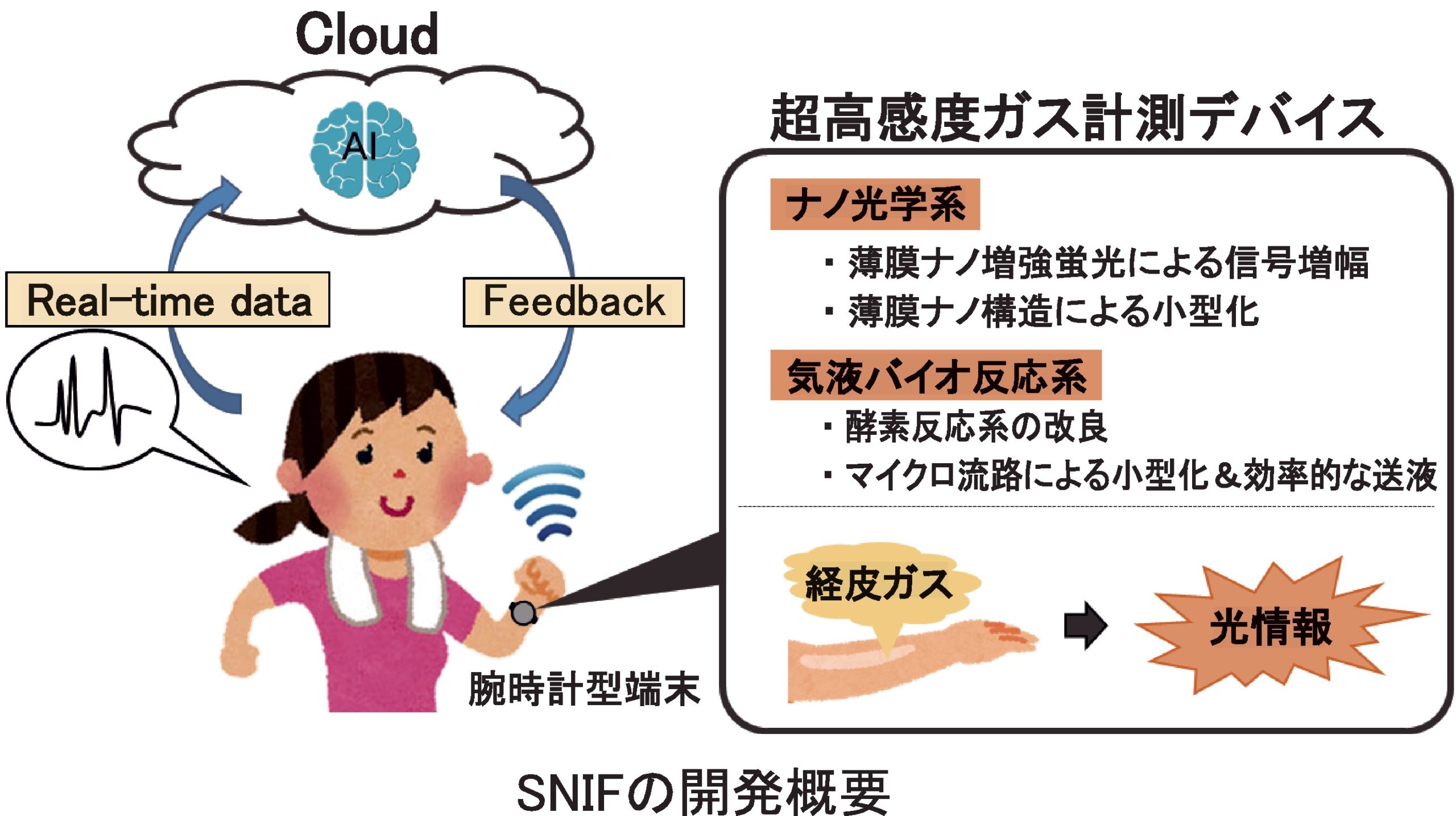 SNIFの開発概要