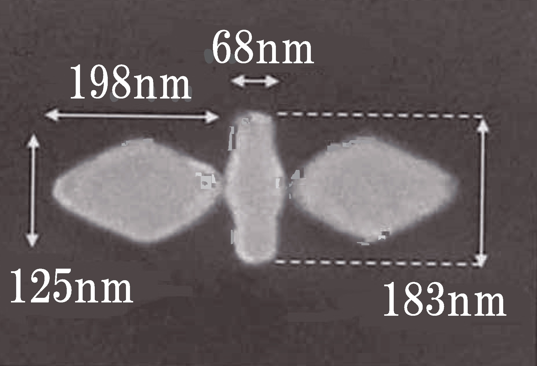 （図2）金ナノアンテナ構造の電子顕微鏡写真。白線は100nmのスケール。一辺120nm、厚さ30nmの金のナノひし形構造2個の間に、幅70nm、長さ180nmのナノバー構造を配置した。ナノひし形構造とナノバー構造は、10nmだけ離して配置しナノサイズの空隙を作っている。横偏光の近赤外光を金ナノアンテナ構造に照射すると、中心のナノ空隙に光が集められ、縦偏光の光を照射すると、中心のナノバー構造に光が集中する。このようなナノアンテナ構造は、最先端の超微細加工技術によって作製が可能となった