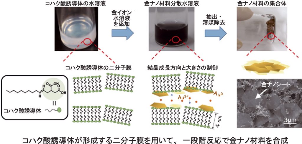 超分子科学 : ナノ材料創製に向けて 伊藤・横山研究室｜東京大学大学院新領域創成科学研究科物質系専攻