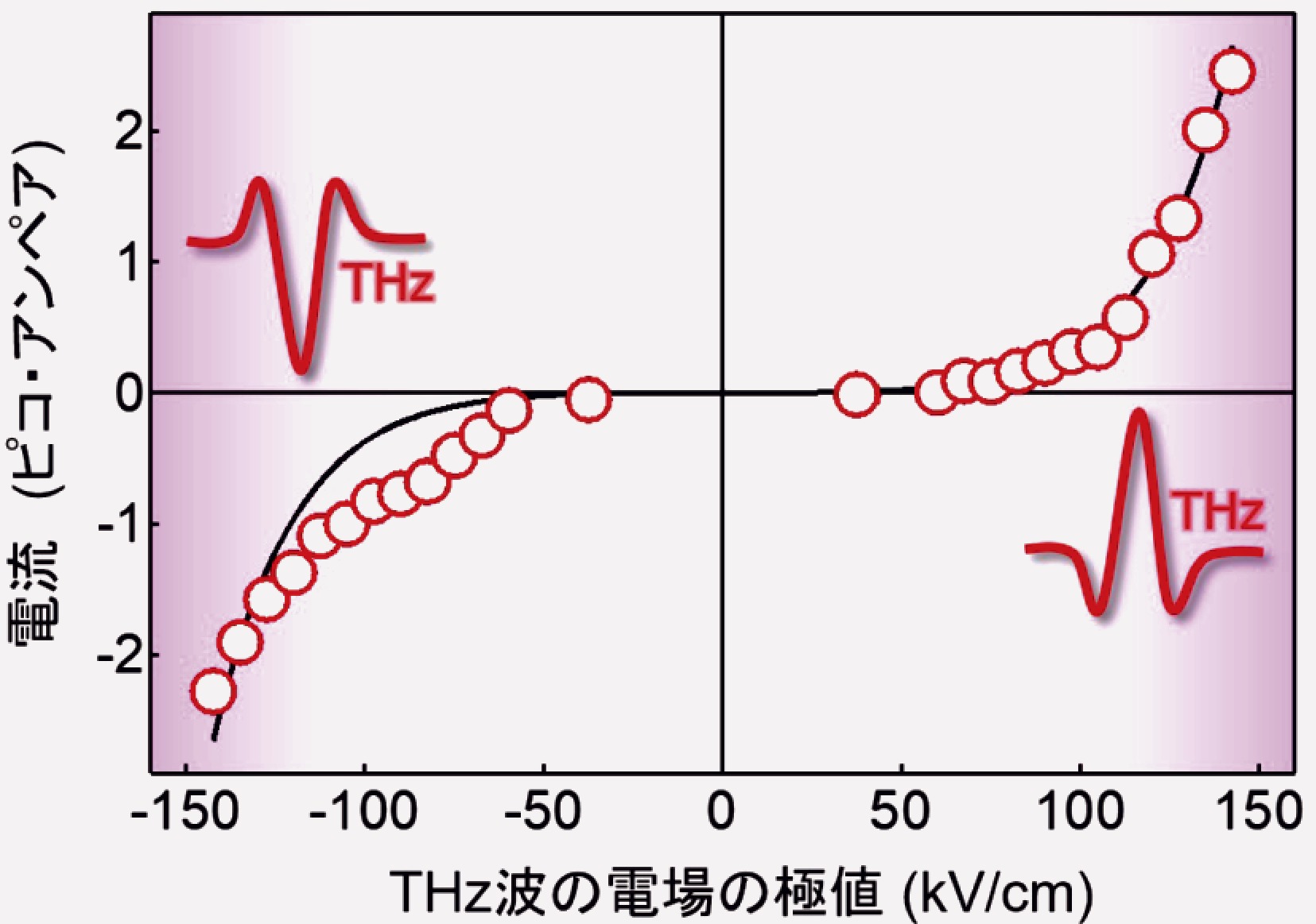［図2］テラヘルツ波の照射によって流れた電流。横軸は照射したテラヘルツ波の電場の強さ、縦軸は流れた電流値を表す。テラヘルツ波の電場の強さ、正負によって電流の大きさ、向きが変化している