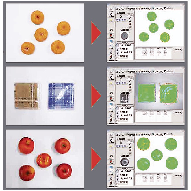 ビジョンシステム「RCXiVY2＋」による不定形物（食品、衣料品）の検出