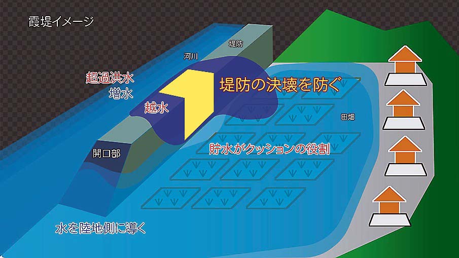 霞堤の図解