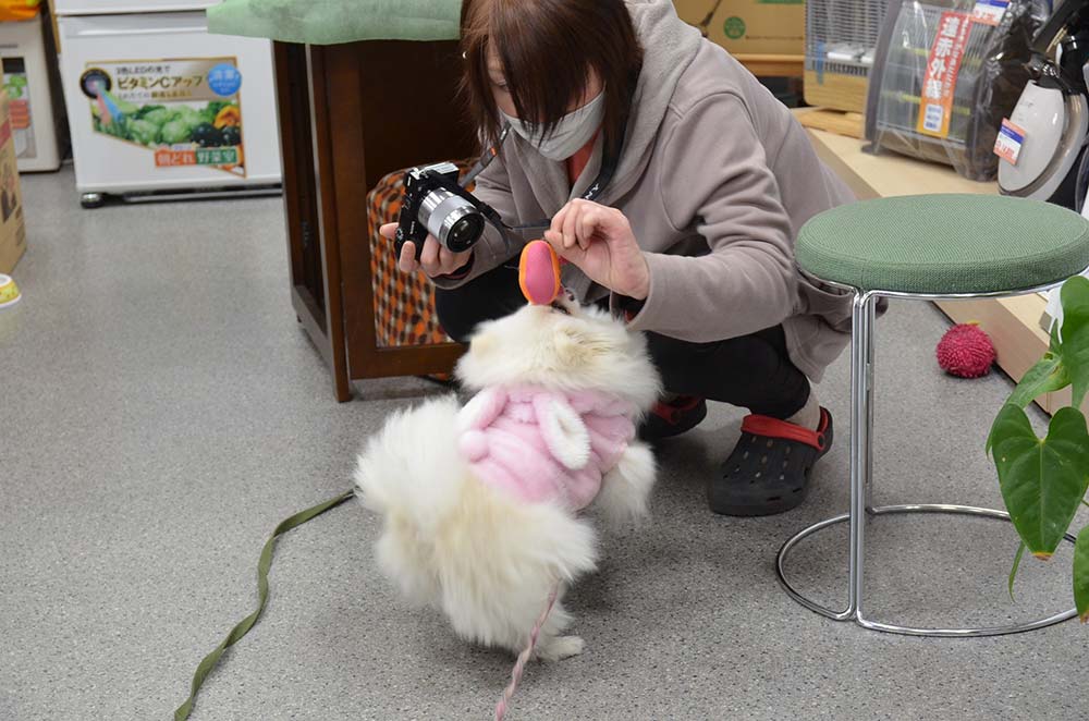 スタッフの中西さんとたわむれる花子