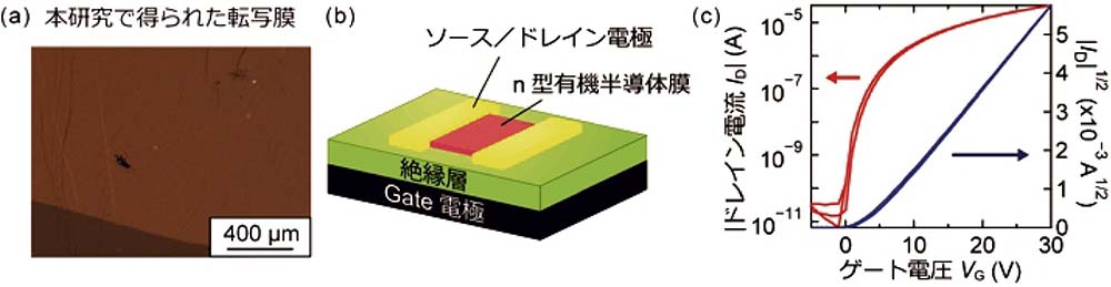 ［図3］（a）本研究で開発したナノすりガラスを利用して転写されたn型有機半導体膜の偏光顕微鏡写真。（b）作製した有機電界効果トランジスタ（OFET）の構造の模式図。（c）作製したOFETの飽和領域の伝達特性。ドレイン電圧V D＝30V、チャネル長L＝50μm、チャネル幅W＝100μm。特性から見積もられた電子移動度は2.2cm2 V⁻¹  s⁻¹