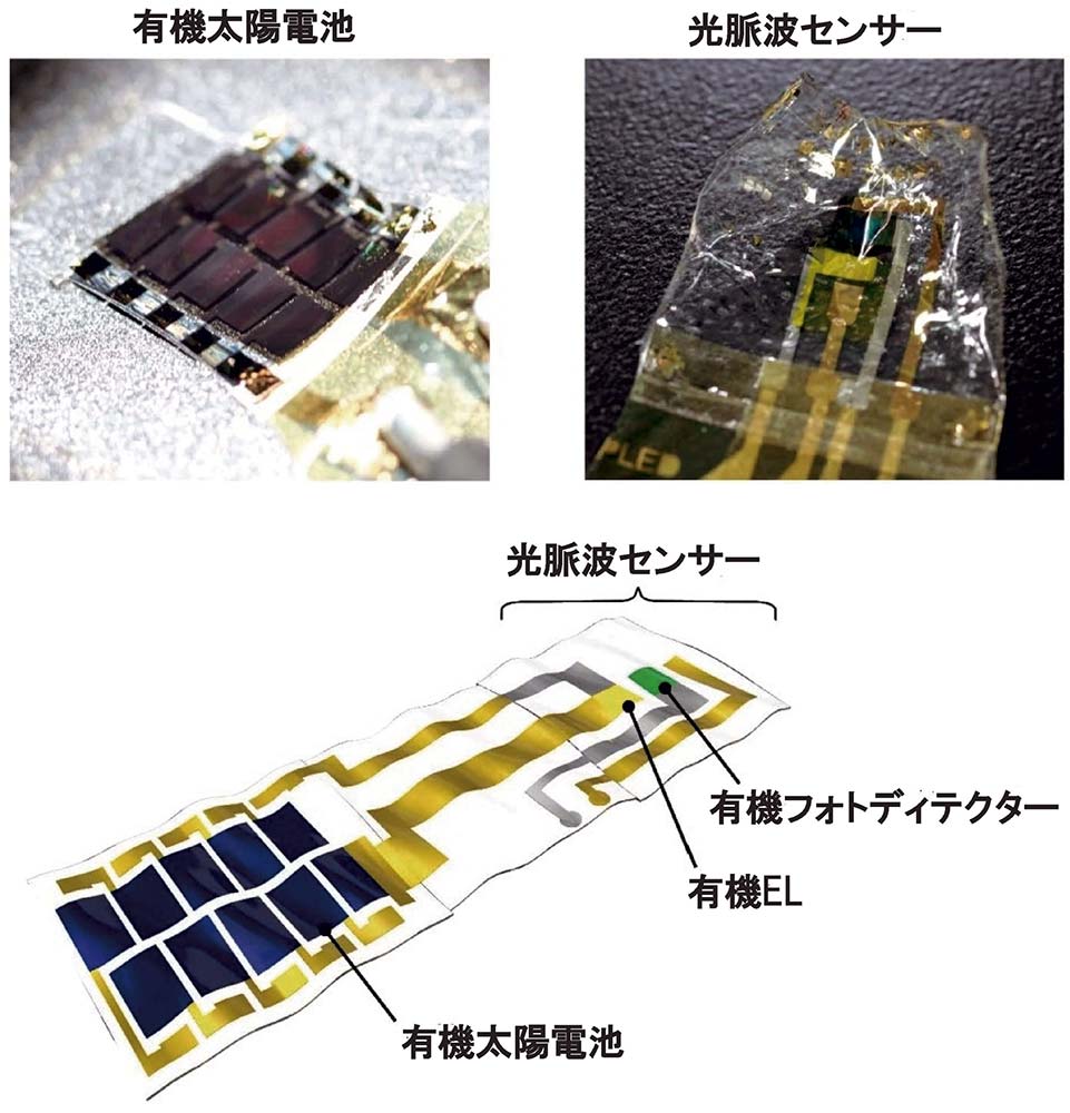 ［図2］太陽電池駆動の皮膚貼り付け型光脈波センサーは薄く柔軟で、太陽光発電により外部電源を用いない連続駆動を実現する