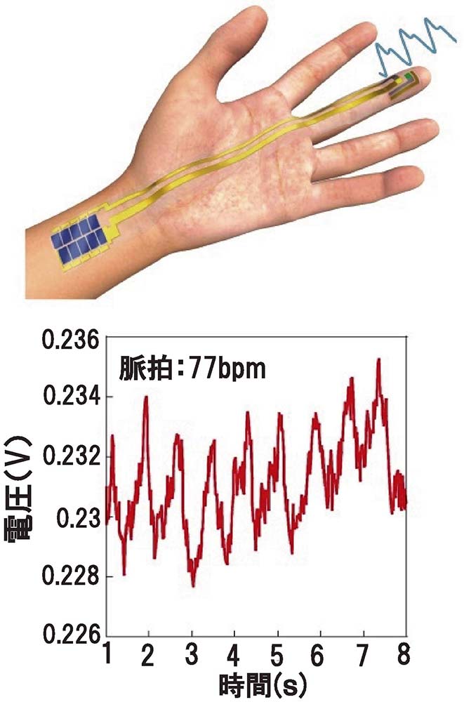 ［図3］超薄型デバイスは薄く柔軟で、皮膚のような複雑な表面にも貼り付け可能（上）。超薄型の光脈波センサーを超薄型有機太陽電池を用いて駆動させたところ、有機ELを光源として測定された脈波信号が計測された（下）