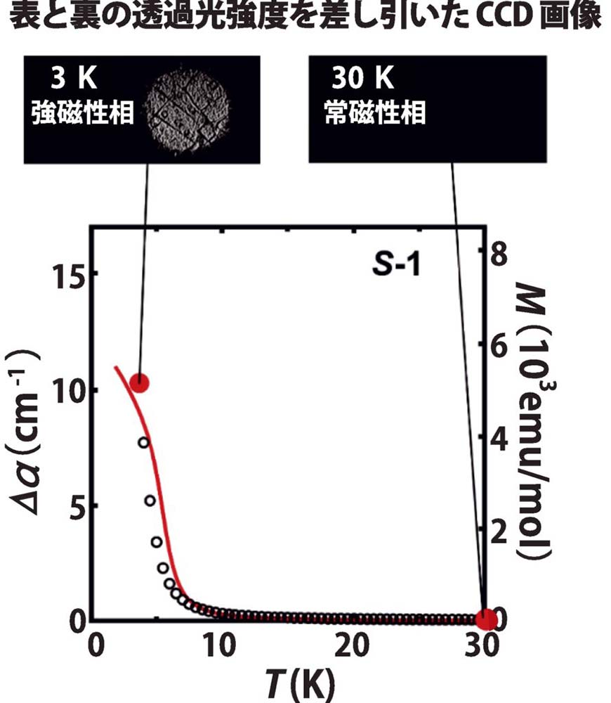 図3．光学的電気磁気効果の観測