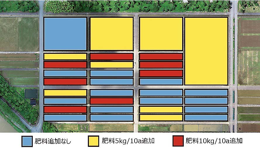 生育診断結果を基本に田畑ごとのきめ細かい栽培指導を行う