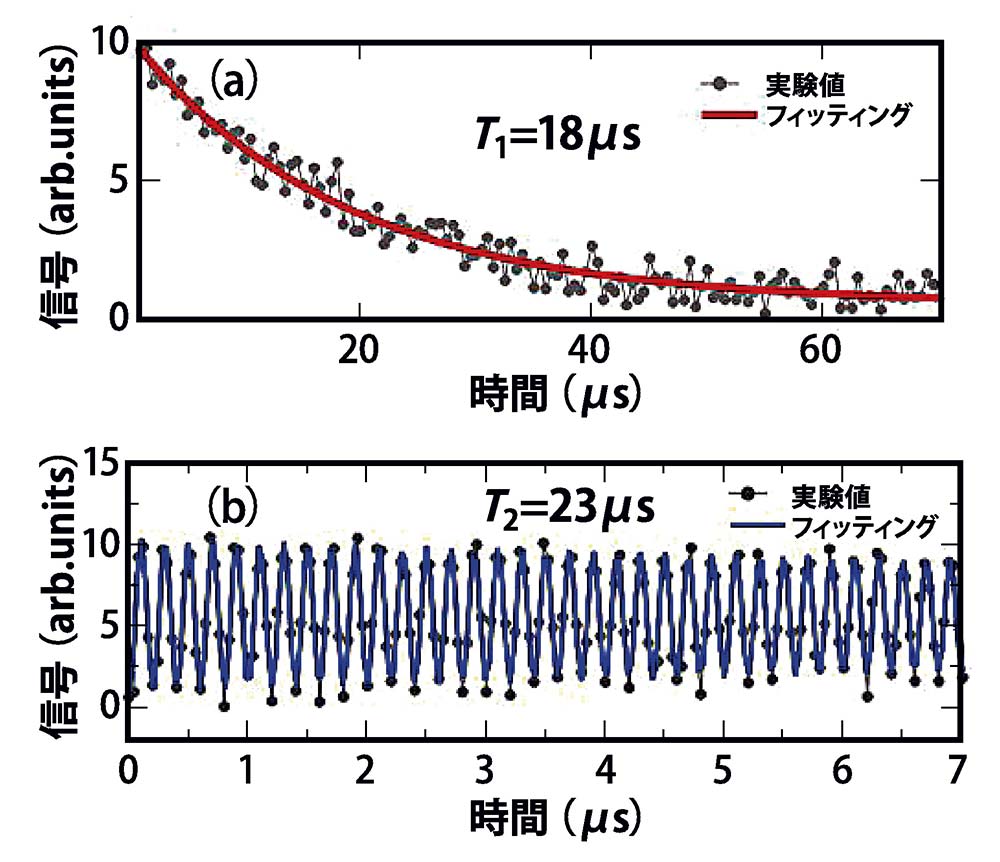 【図2】コヒーレンス時間の測定結果 （a）エネルギー緩和時間T1＝18.25μsと（b）位相緩和時間T2＝23.20μsが得られた