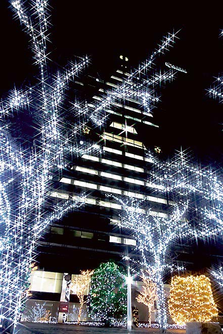 京都の夜空を飾る本社室内照明とビル壁面を利用した巨大クリスマスツリー