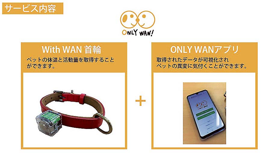 「ONLY WAN！」の発表から