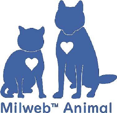 Milweb Animal