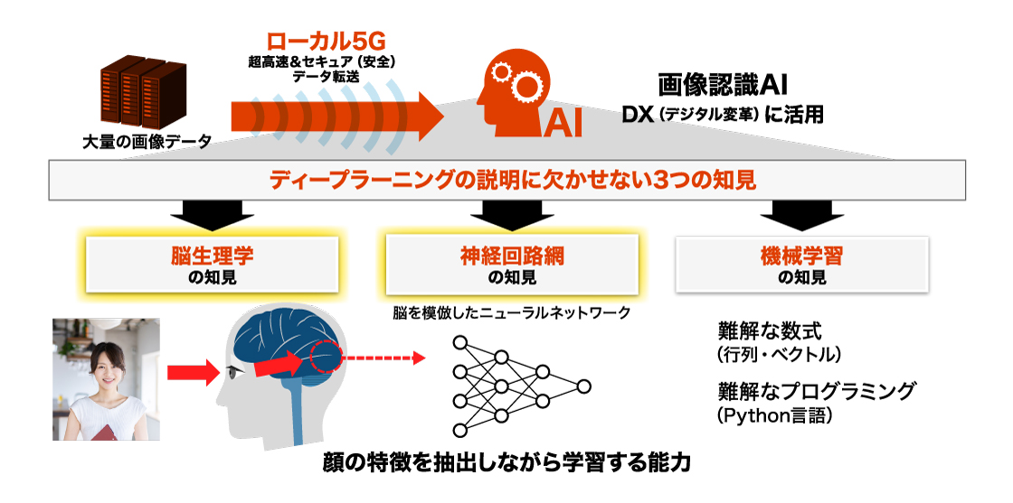 顔の特徴を抽出しながら学習する能力