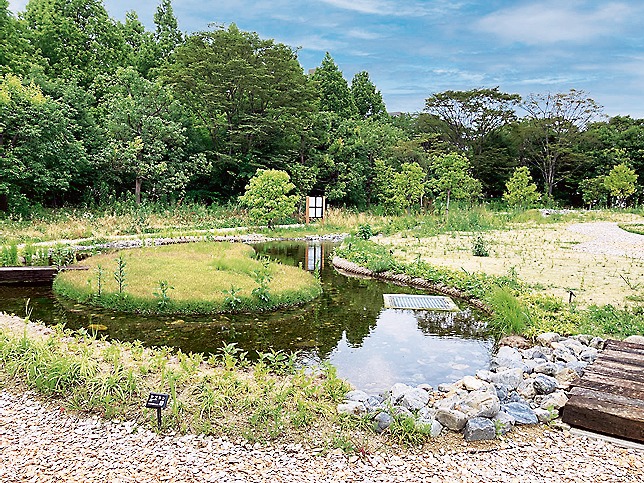 本社敷地に3月整備した8400平方メートルビオトープエリア