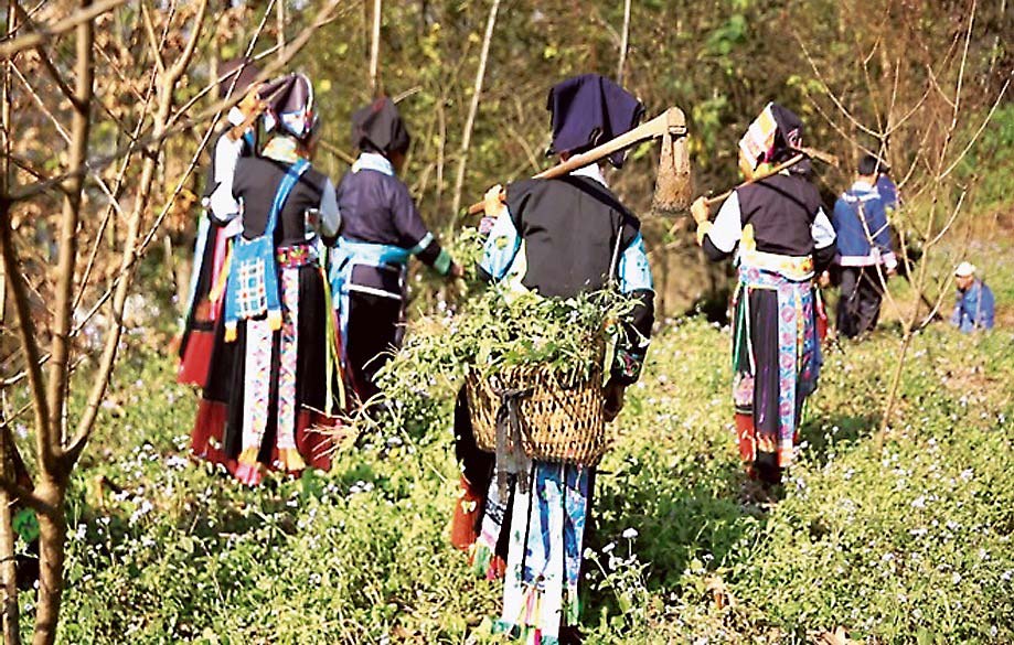 中国のプロジェクトでは現地の住民らが植林作業を行った