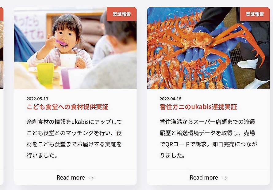 実証報告の例（サイトから）