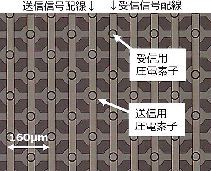 今回試作した圧電MEMS超音波センサーアレイの顕微鏡写真