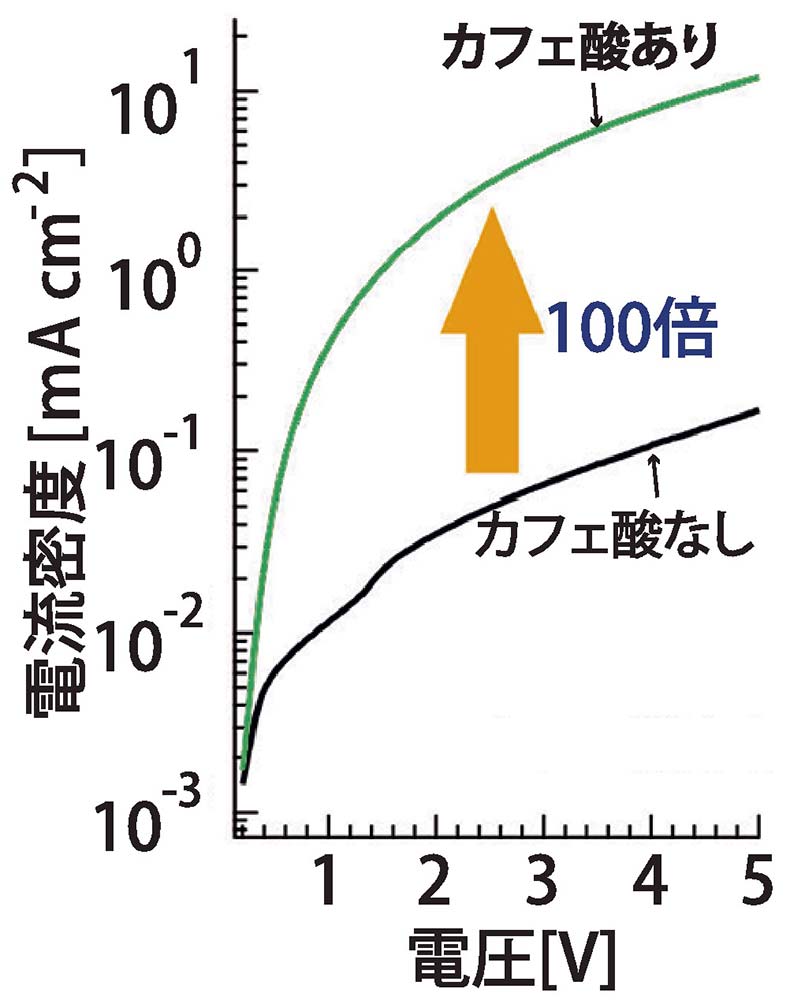 カフェ酸層の挿入による電流密度－電圧特性の変化