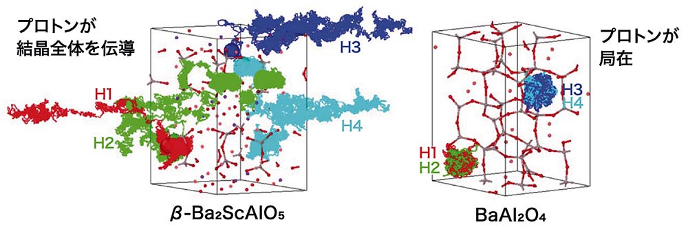 【図3】第一原理分子動力学法によって計算したβ－Ba2ScAlO5およびBaAl2O4おけるプロトンの軌跡。4個のプロトンの軌跡を異なる色で描いてある。© Wiley （2022）．