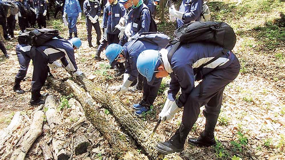 作業の前にノコギリの使い方実習も行った