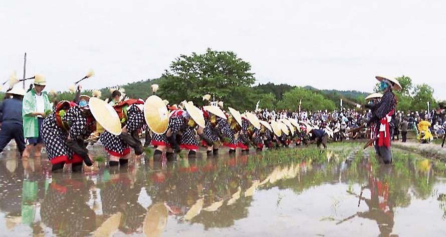 北広島町の伝統行事「壬生の花田植」