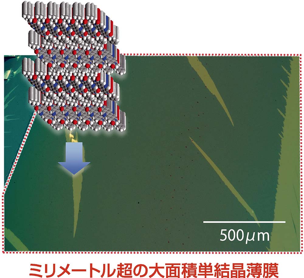 【図3】塗布法によるPhC₂－BQQDI－C₅大面積単結晶薄膜と、対応する結晶構造