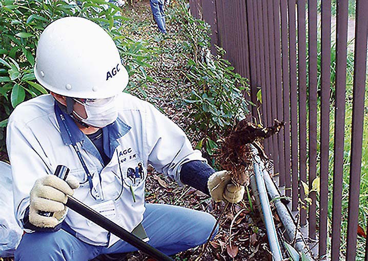 外来種除去作業の様子