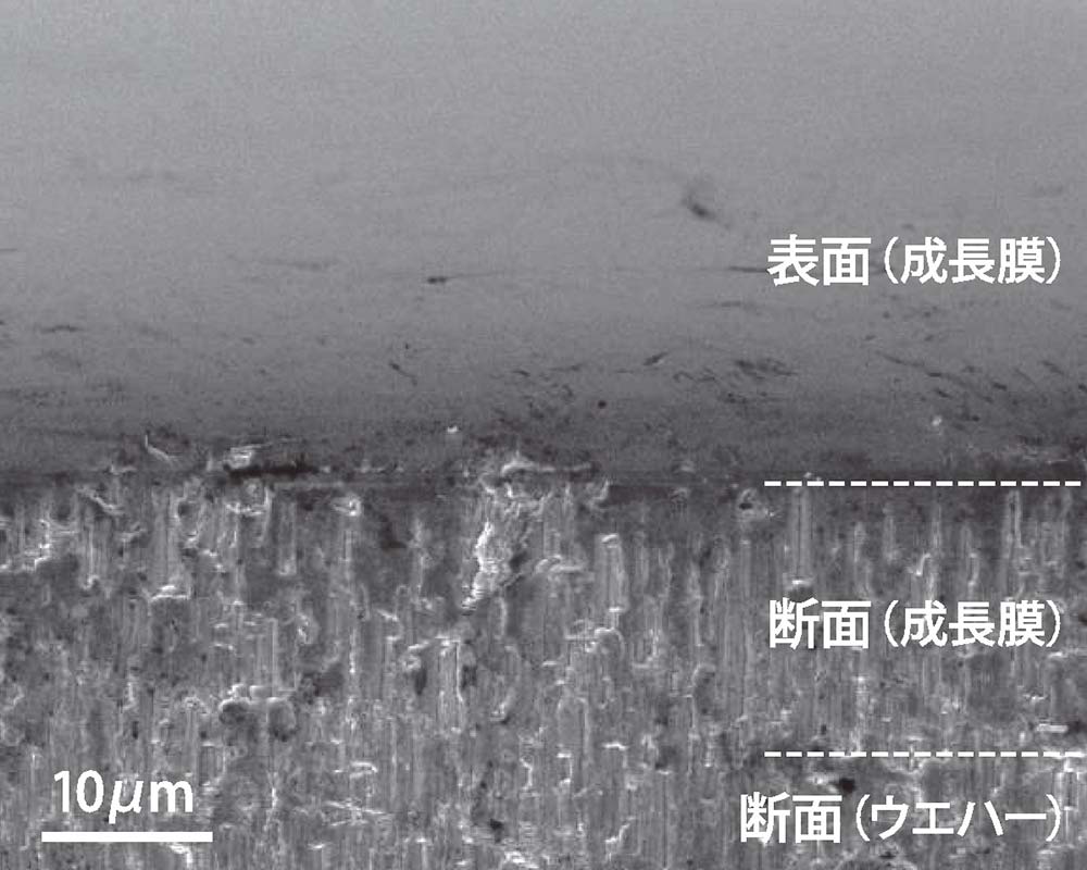 【図4】β-Ga₂O₃（010）ウエハー上に成長速度16.2μm／hで1時間成長したホモエピタキシャル膜の電子顕微鏡像。平坦かつ均一なホモエピタキシャル膜が成長していることが分かる