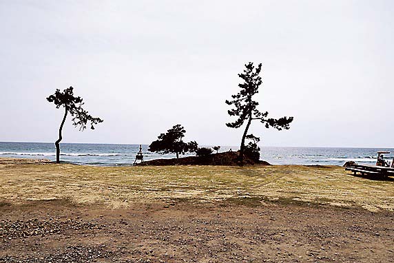 キャンプ場の目の前には海があり地震発生後は津波にも襲われた