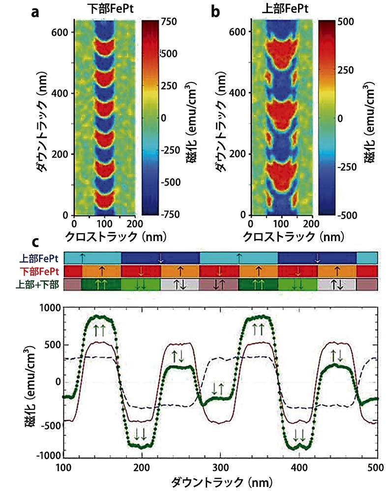 【図4】FePt／Ru／FePtの微細組織および磁気特性を反映した媒体モデルを用いた書き込みテスト。（a）（b）レーザー出力を調整することにより上下FePt層にビットが書き込まれる。（c）それぞれの磁化状態と重ね合わせた時の磁化状態