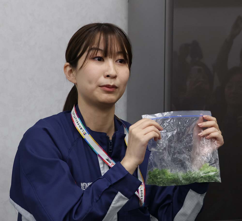 V冷凍した冷凍野菜は手で粉砕できる