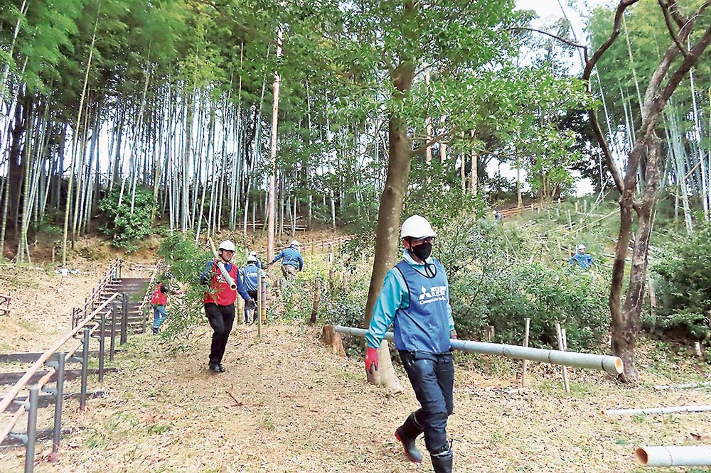 切り倒した竹を所定の場所まで運ぶ