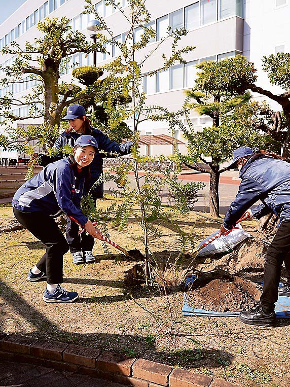 植樹の様子