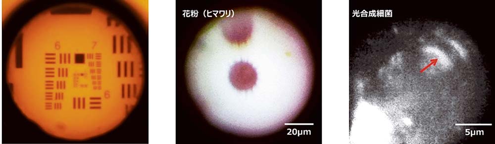 GI-POFレンズによる撮影例。左から、解像度チャート、ヒマワリの花粉画像、光合成細菌の極細内視鏡近赤外観察画像（右の画像は北陸先端科学技術大学院大学の都英次郎教授提供）
