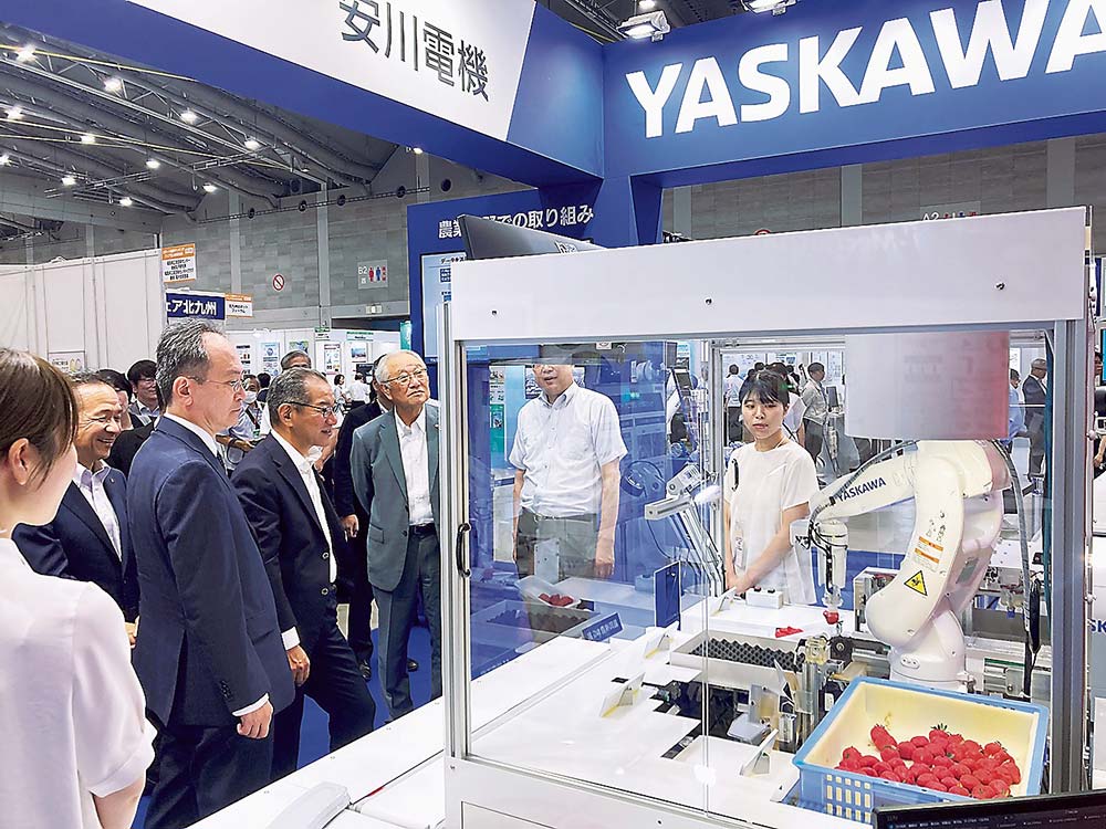 安川電機のイチゴ選果・パック詰めロボ