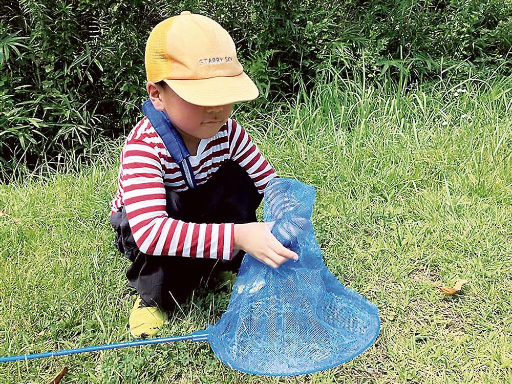 昆虫を観察する子ども