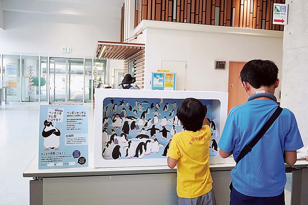 ペンギンを数える体験ができる展示