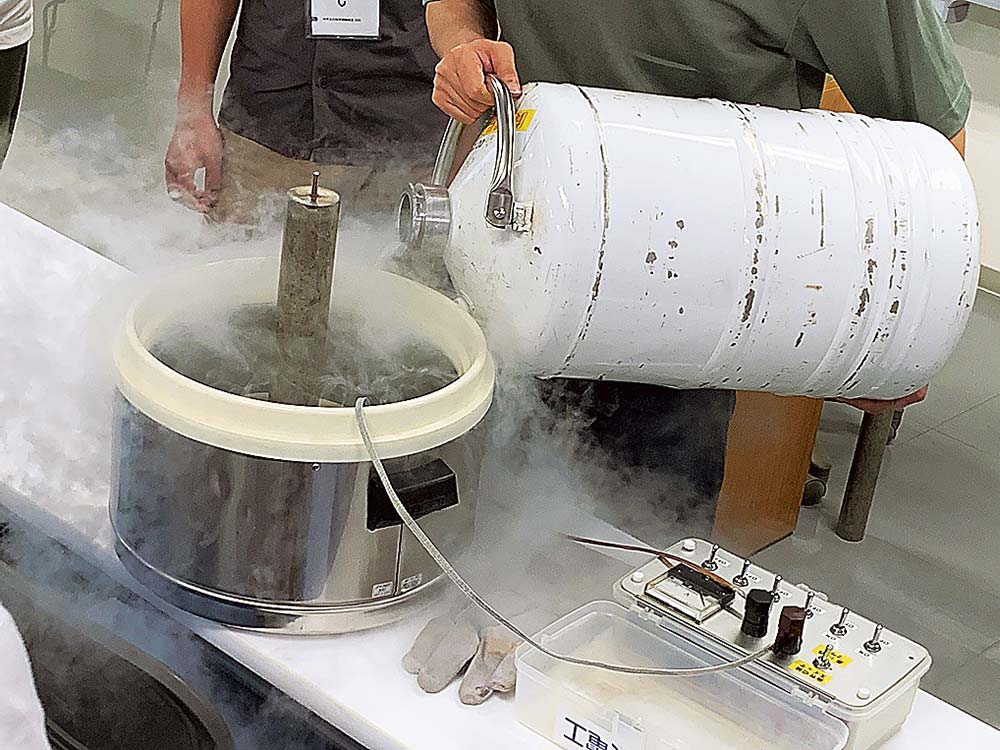 液体窒素を使った超電導の実験