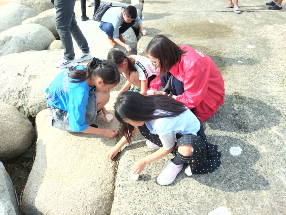 ビーチクリーン活動では小さなマイクロプラスチックを拾った