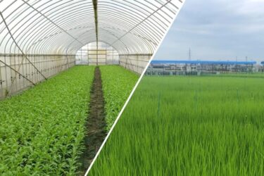 持続可能な社会実現へ　東大とクボタ、パナソニックHDが土壌研究開始