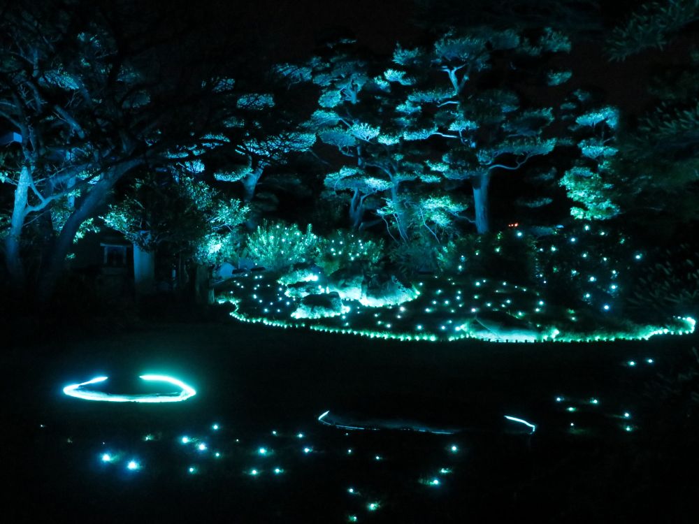 今年の内覧会から(永寿院)