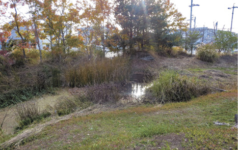 ビオトープも設置し、地域の環境保全に貢献する