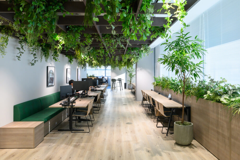 明るく緑が溢れるリフレッシュエリア