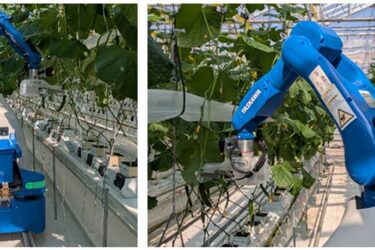 安川電機、JA全農と「きゅうり収穫作業ロボット」開発　実用化にめど