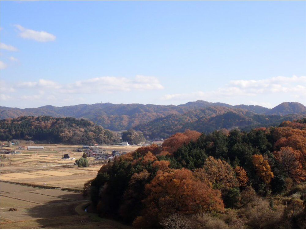 日立システムズ、森林活用でカーボンクレジット創出　世羅郡森林組合と協創、地域循環モデル構築