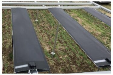 国内初、フィルム型ペロブスカイト太陽電池を用いた営農型太陽光発電設備 水田での取り組み開始