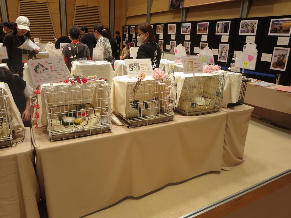 計188頭の犬猫が参加