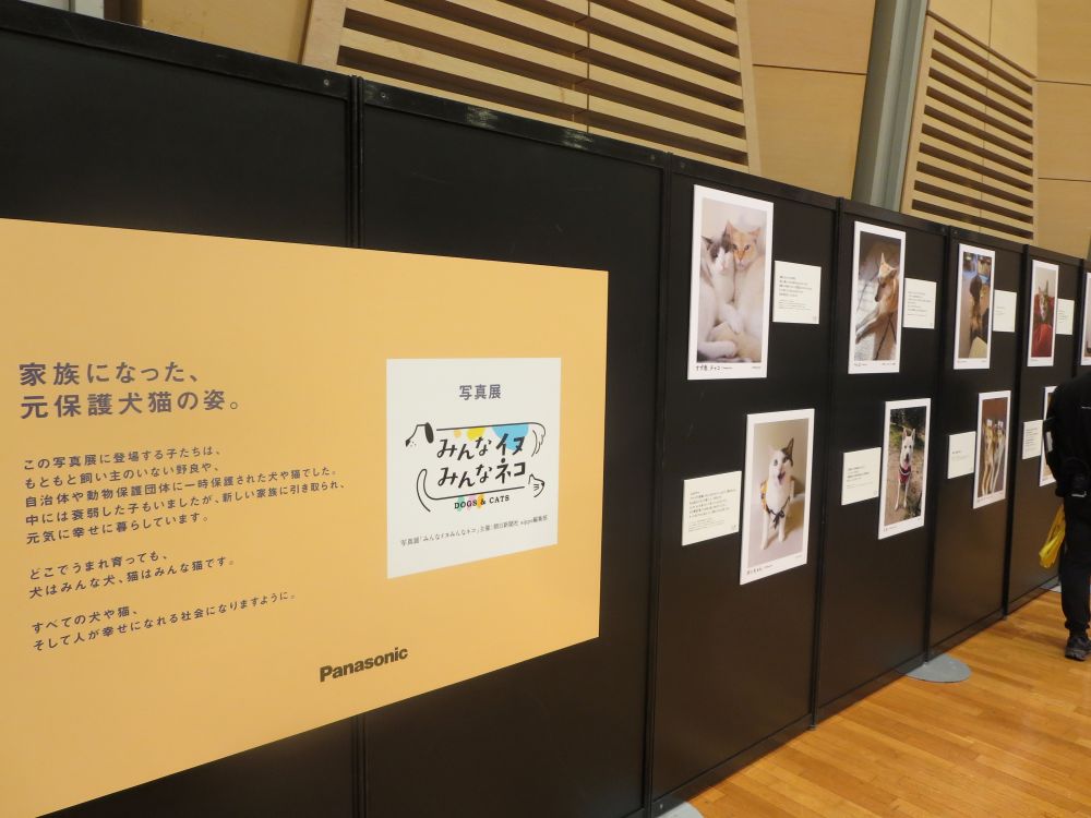 元保護犬猫の写真展を設置